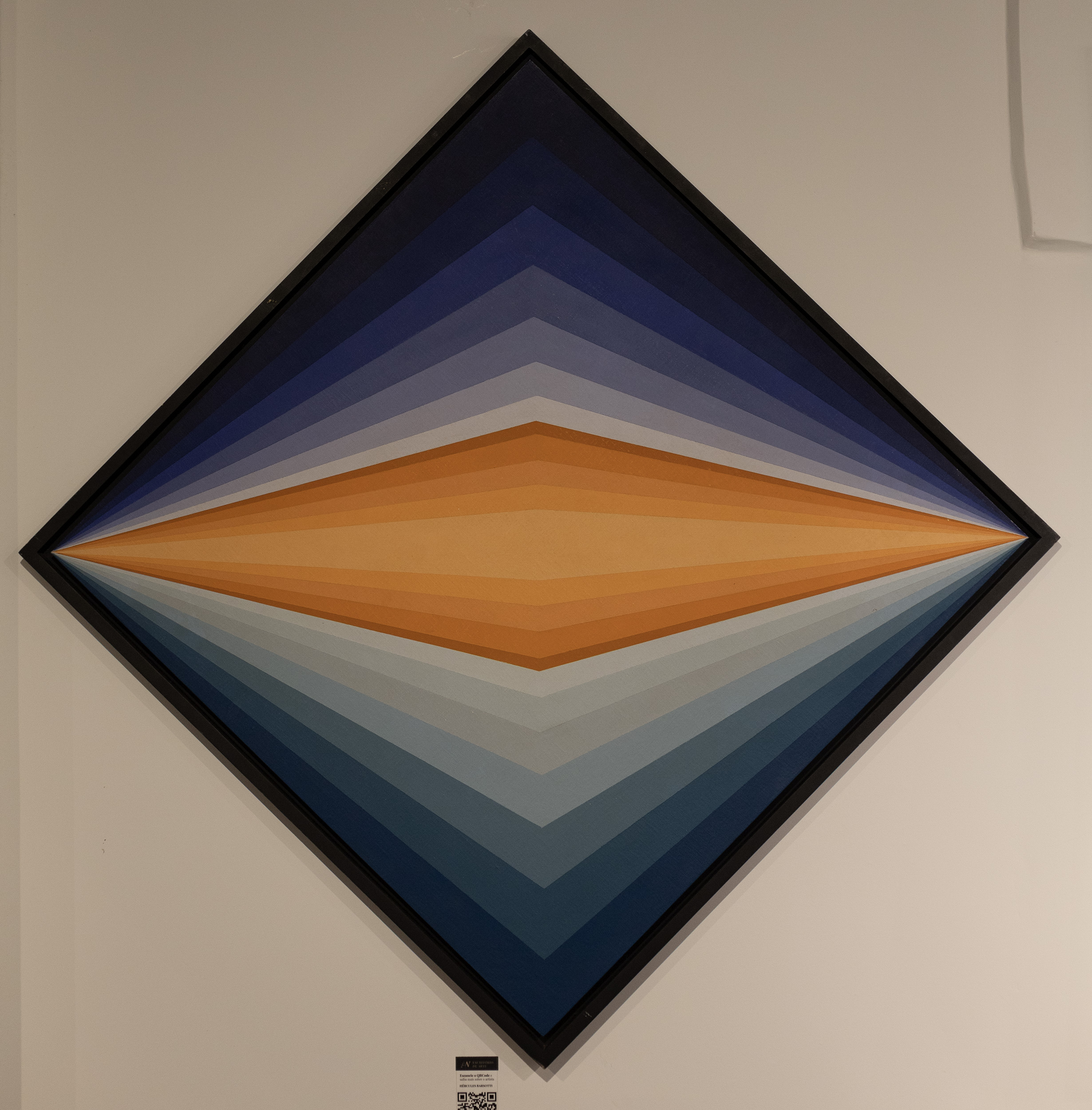 Proposição emblemática XI